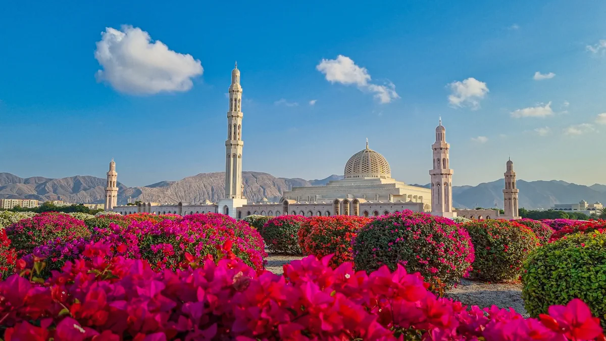 Sultan Qaboos Grand Mosque framed by vibrant pink bougainvillea blossoms under the Arabian sun in Oman