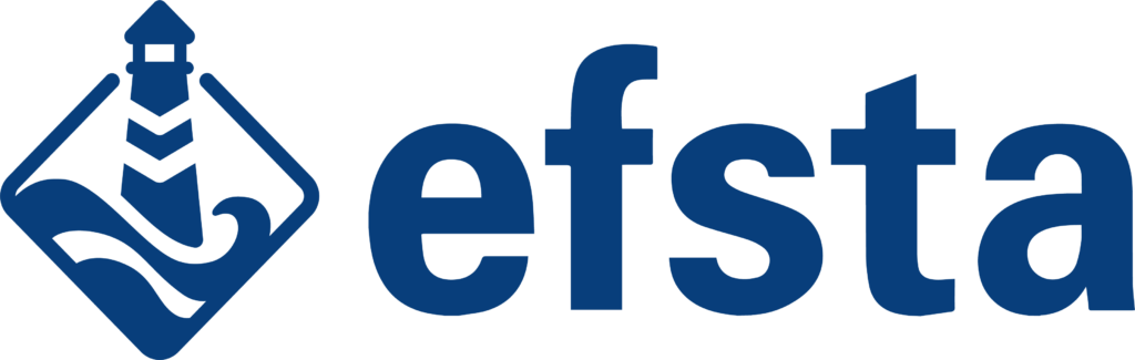 efsta IT Services GmbH Logo