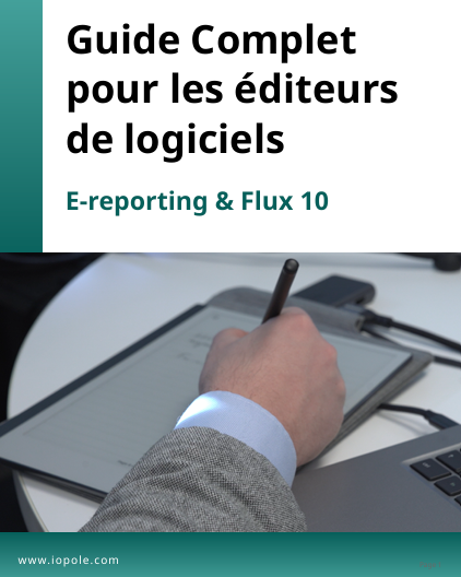 A technical guide for software editors on e-reporting and the Flux 10 format under France's 2026 national e-invoicing reform.